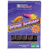 Brine Shrimp