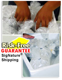 SigNature Shipping