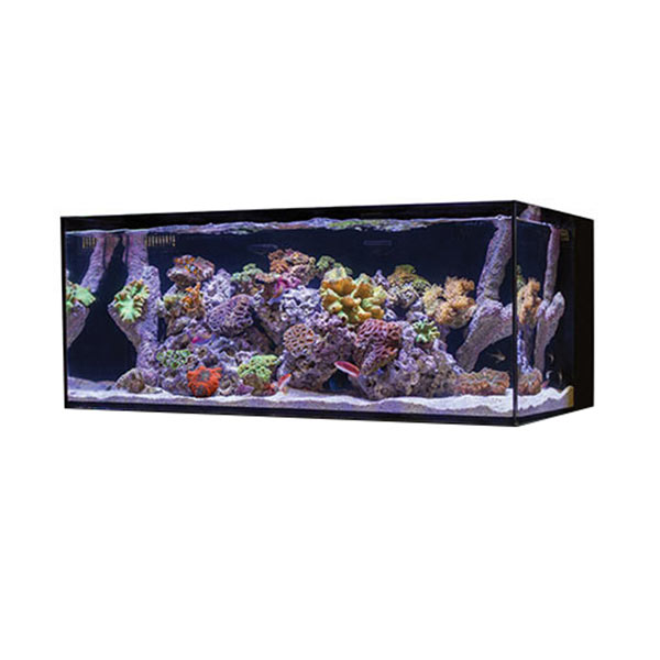 Cobalt Aquatics 40G C-Vue Aquarium