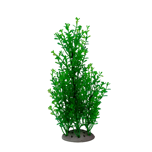 LiveAquaria® 8" Secure-T Mid-ground Plant