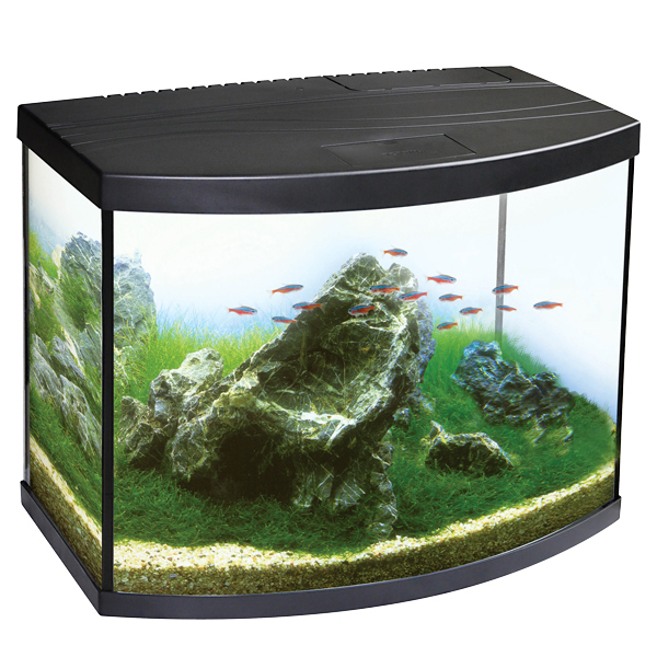 LiveAquaria® Bow-Front Aquarium