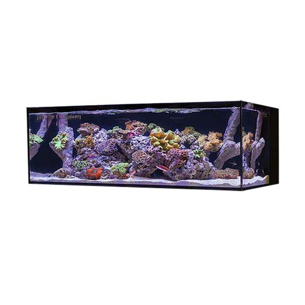 Cobalt Aquatics 50-Gallon C-Vue Aquarium Cobalt Aquatics 50-Gallon C-Vue Aquarium