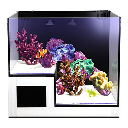 Innovative Marine NUVO Concept™ Drop-Off Panorama Aquarium