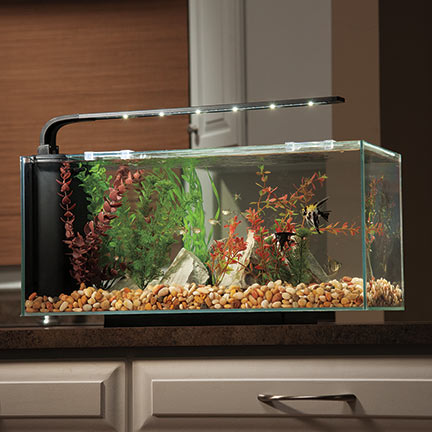 JBJ Flat Panel Peninsula Rimless Desktop Aquarium