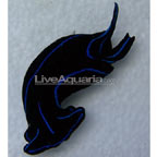 Blue Velvet Nudibranch