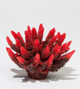 Aquatic Creations Red Acropora Aquarium Décor