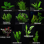 Freshwater Plant Packs