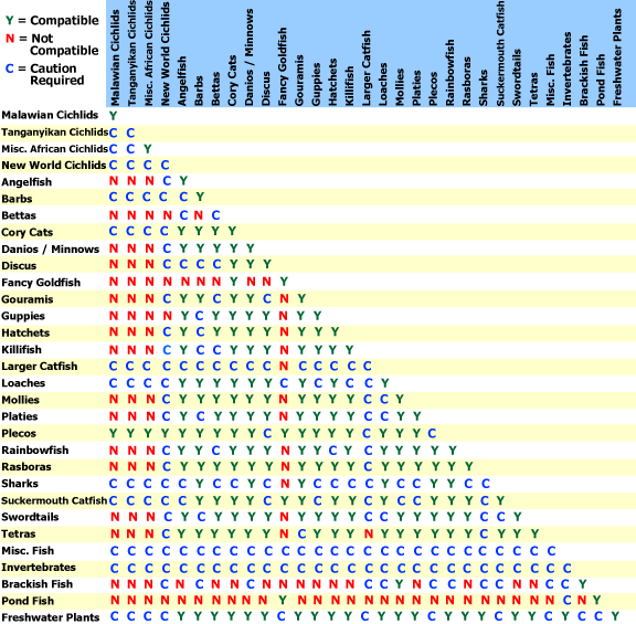 compatibility chart